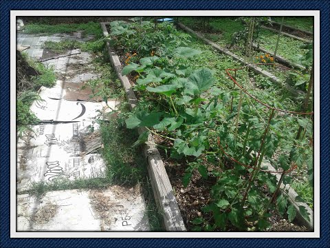 video-linktoworks-Organic Gardening: Calculating Soil Capacity for...