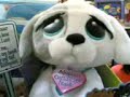 awww....soo cute!