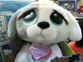 awww....soo cute!