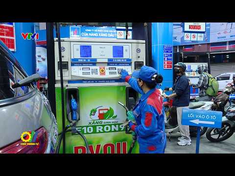 Thúc đẩy tiêu thụ xăng sinh học – giải pháp đảm bảo phát triển năng lượng bền vững