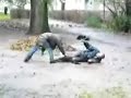 Gwiazdy tańczą na lodzie