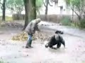 Gwiazdy tańczą na lodzie