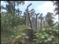 ribeirão quilombo marco zero   parte 4
