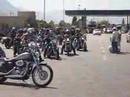 HOG Maitencillo 2008