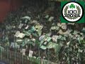 Inter-Panathinaikos 0-1 GATE 13 IN MEAZZA
