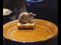 Woodcock Recipe