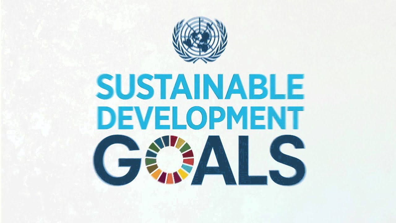 Transitioning from the MDGs to the SDGs