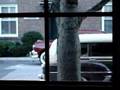  - MovieZen Video