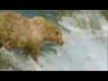 Weekend Window to Katmai National Park - YouTube
