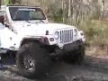 FJ Cruiser and Wrangler