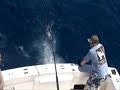 Marlin and Tuna fishing in New Zealand