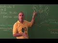 Video-Aula Proteinas 1 Video-Aula Proteinas 1