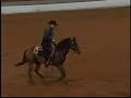 horse-extreme.html