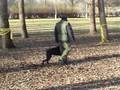 videos de Dobermann TV: Training in November