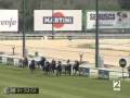 videos de Horse racing spain