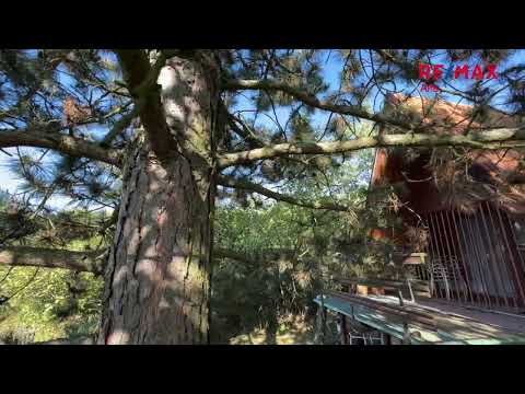 Video Prodej rekreační chaty s velkou zahradou 1567 m2, Střelice, okr. Brno - venkov.