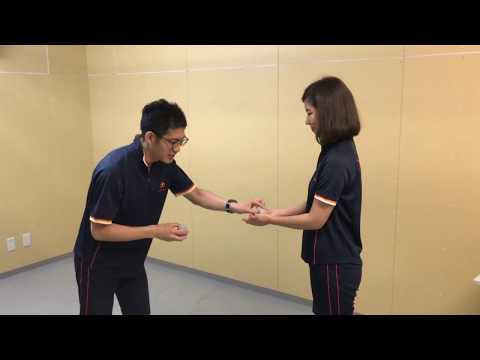 YouTube動画