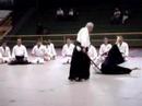 Aikido - Sensei Wagner Bull 1