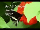 HIS Church youth camp