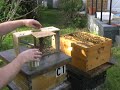 Beemaster\