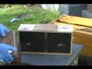Beemaster's Installing honeybees Method