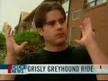 Man Beheaded On Greyhound Bus