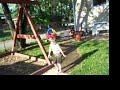 Kids in Sprinkler