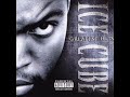 IceCube-Check Yourself
