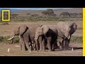 View Video