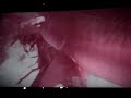 Zombie - zombie fighting shark scene, Lucio Fulci director
