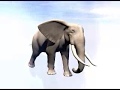Meet the Elephant Eaters - Brownfield Development at IBM