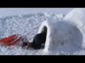 HOW TO BUILD AN IGLOO