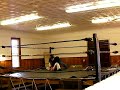 New piledriver series (read description first)