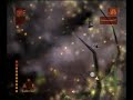 Shadowrun Glitch Mash-Up:Glitches You Have Never Seen Before