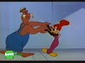 Woody Woodpecker Polka polca do Picapau cartoon desenho Woody Woodpecker Polka polca do Picapau cartoon desenho