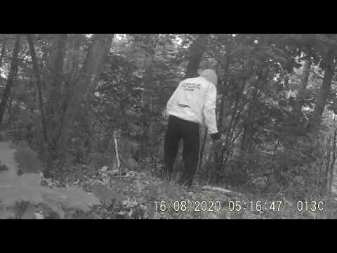 Facet myślał, że nikt go nie widzi. To, co robił w lesie, przechodzi ludzkie pojęcie.