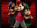 Chipmunks: