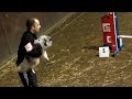 Marc en Yade - Tommy Turk