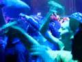 Phlatline Sound at Splash! 2007