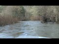Edge Marine on Lookingglass Creek Edge Marine on Lookingglass Creek