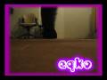 videos de EqKo-Cwalk-She's Like a Star