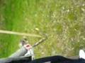 videos de Wlad