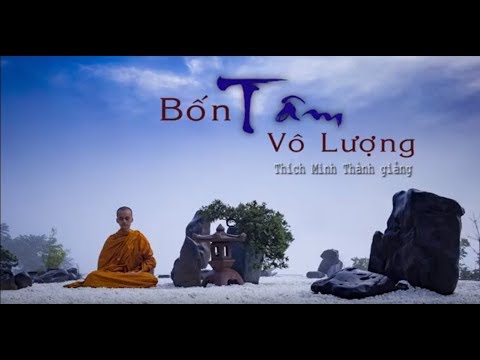 Kinh NIKAYA Giảng Giải - 4 Tâm Vô Lượng