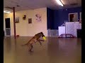 Phoenix 1st Frisbee Lesson- Pt. 2 Phoenix 1st Frisbee Lesson- Pt. 2