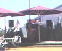 Drew Wilson - The Wharf Mooloolaba