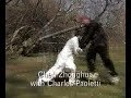 Chen Zhonghua Forms, Push Hands and Fajin Clips Chen Zhonghua Forms, Push Hands and Fajin Clips