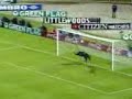 Crazy Goalkeeper