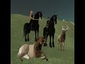 Niky Tam�s At SecondLife