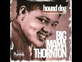 Big Mama Thornton & Muddy Waters Blues Band - Everything Gonna Be Alright