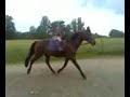Kyara am Reiten